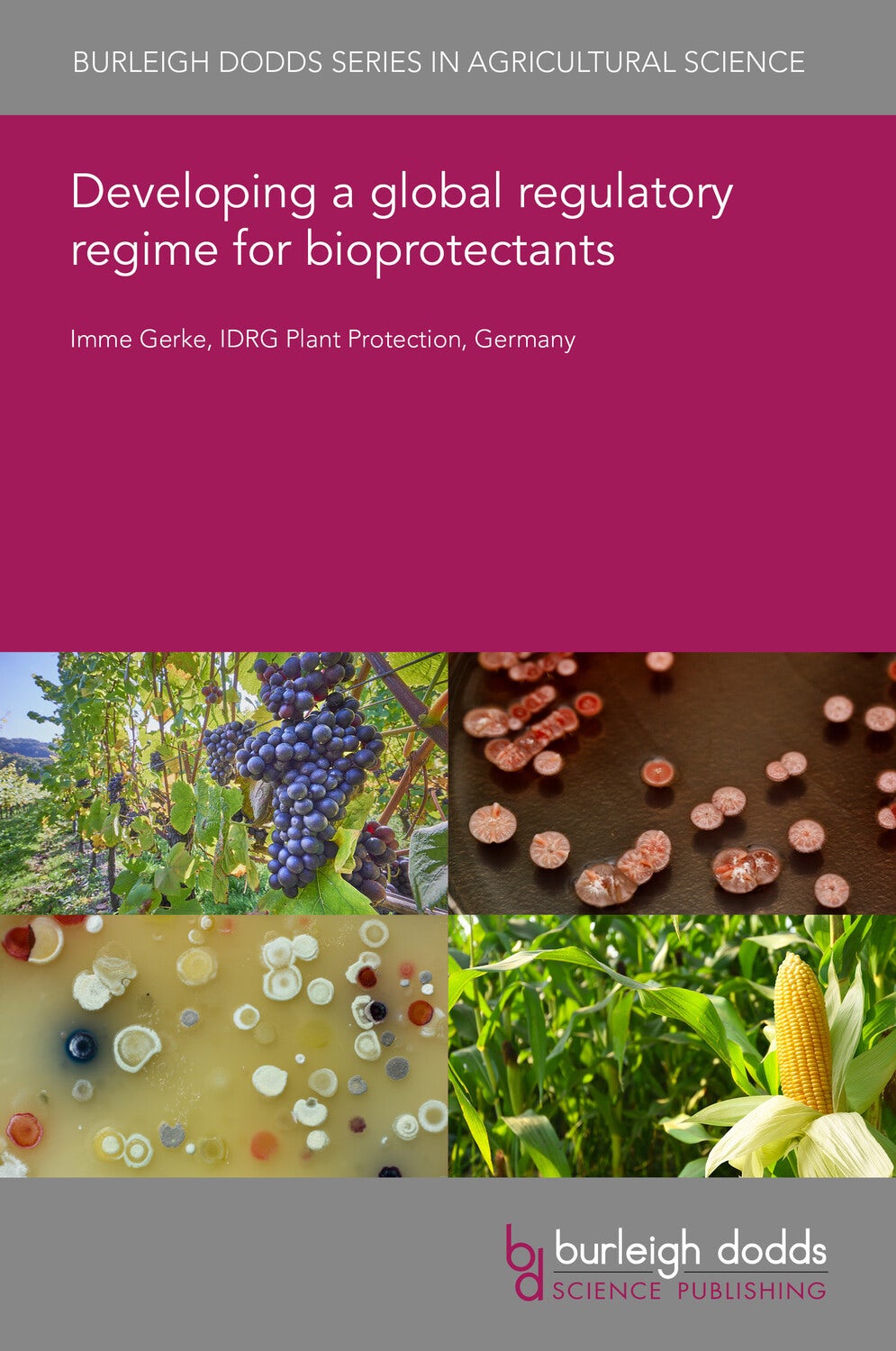 Book cover image for Developing a global regulatory regime for bioprotectants ISBN: 9781835454558